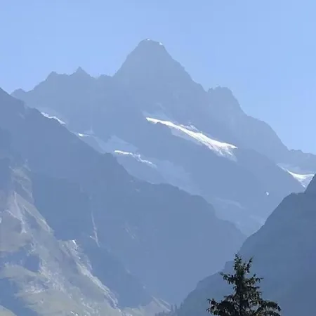 Ferienwohnung Im Grunen - A81891 Apartment Grindelwald